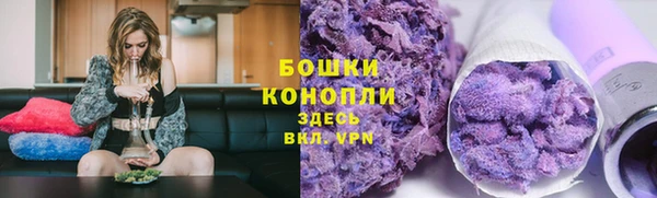 ПСИЛОЦИБИНОВЫЕ ГРИБЫ Алзамай