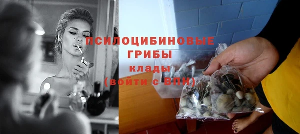 ПСИЛОЦИБИНОВЫЕ ГРИБЫ Алзамай