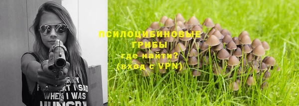 ПСИЛОЦИБИНОВЫЕ ГРИБЫ Алзамай