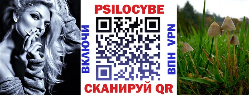 Псилоцибиновые грибы мухоморы  даркнет сайт  Олонец 